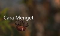 Cara Mengetahui Ginjal Sehat, Perhatikan 5 Tanda Ini