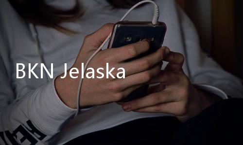 BKN Jelaskan Pendaftaran PPPK 2024 Bisa Pakai E