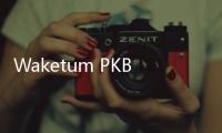 Waketum PKB Ajak Generasi Muda Pilih Presiden yang Sehat, Tidak Pernah Stroke dan Tidak Emosian
